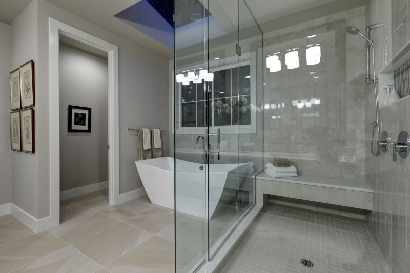 Elegant Tub and Shower Combo